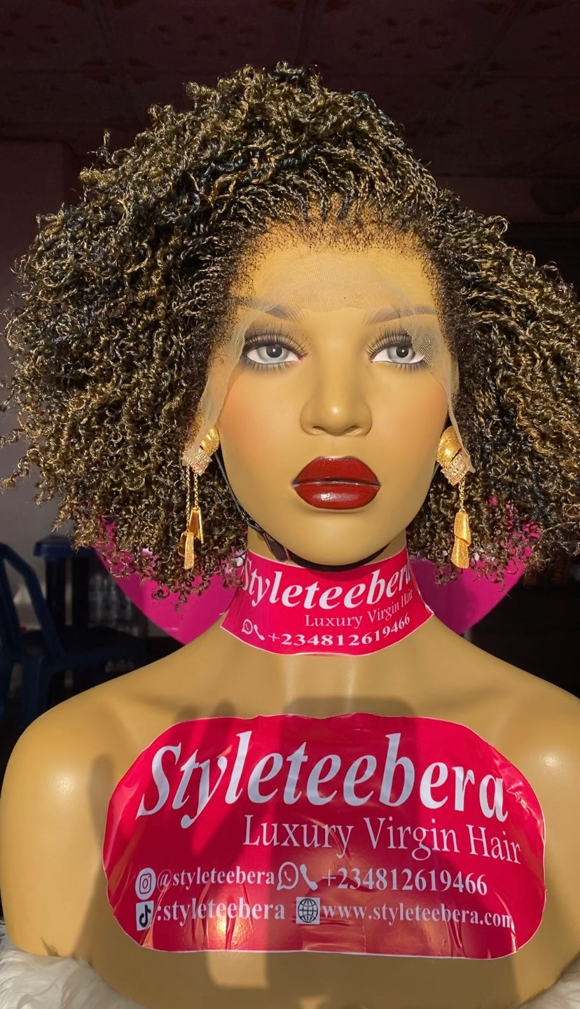 Nubian (Nano Twist) wig in mixed color 27/black