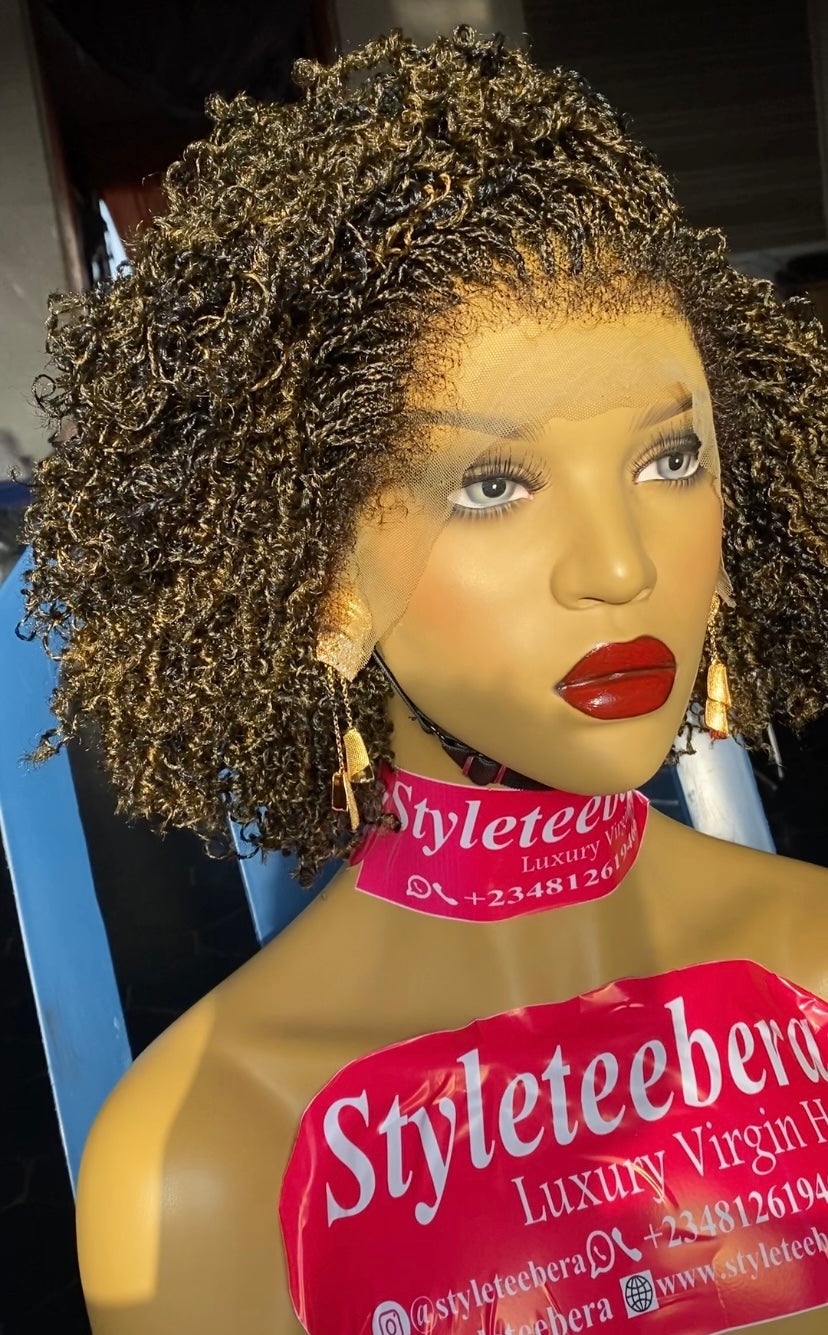 Nubian (Nano Twist) wig in mixed color 27/black