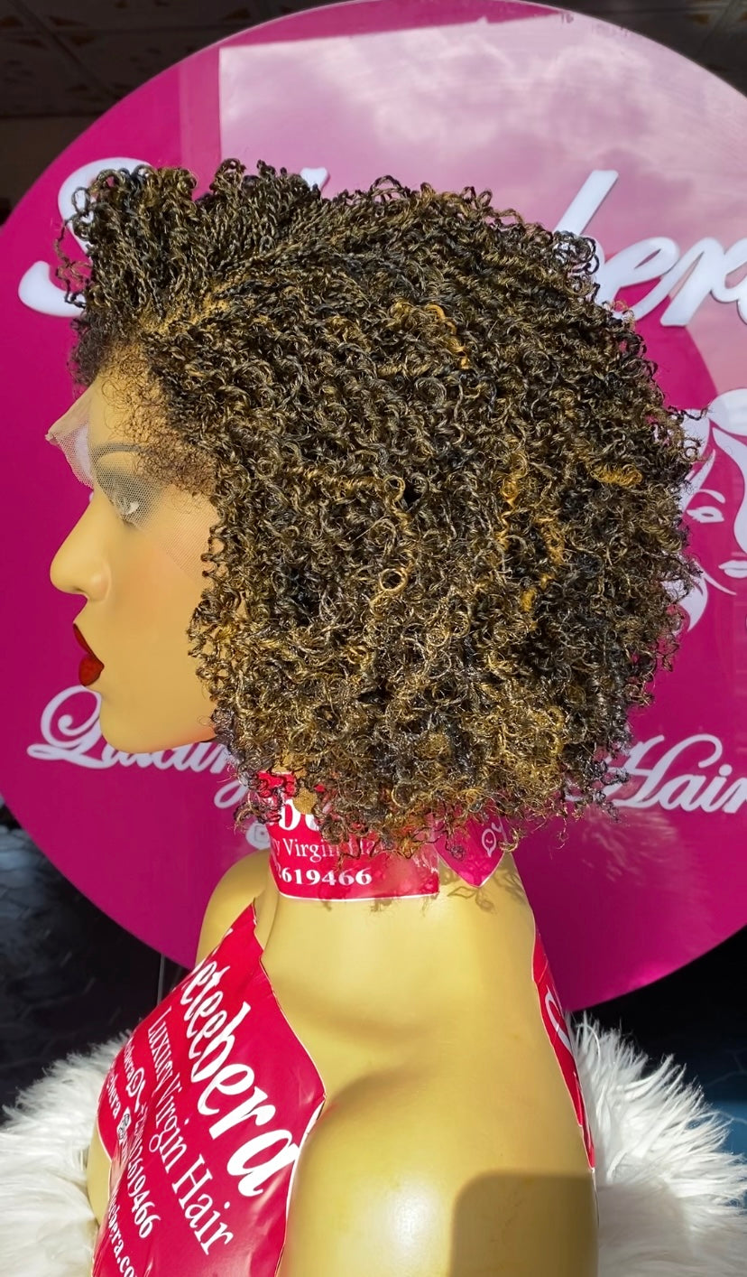 Nubian (Nano Twist) wig in mixed color 27/black