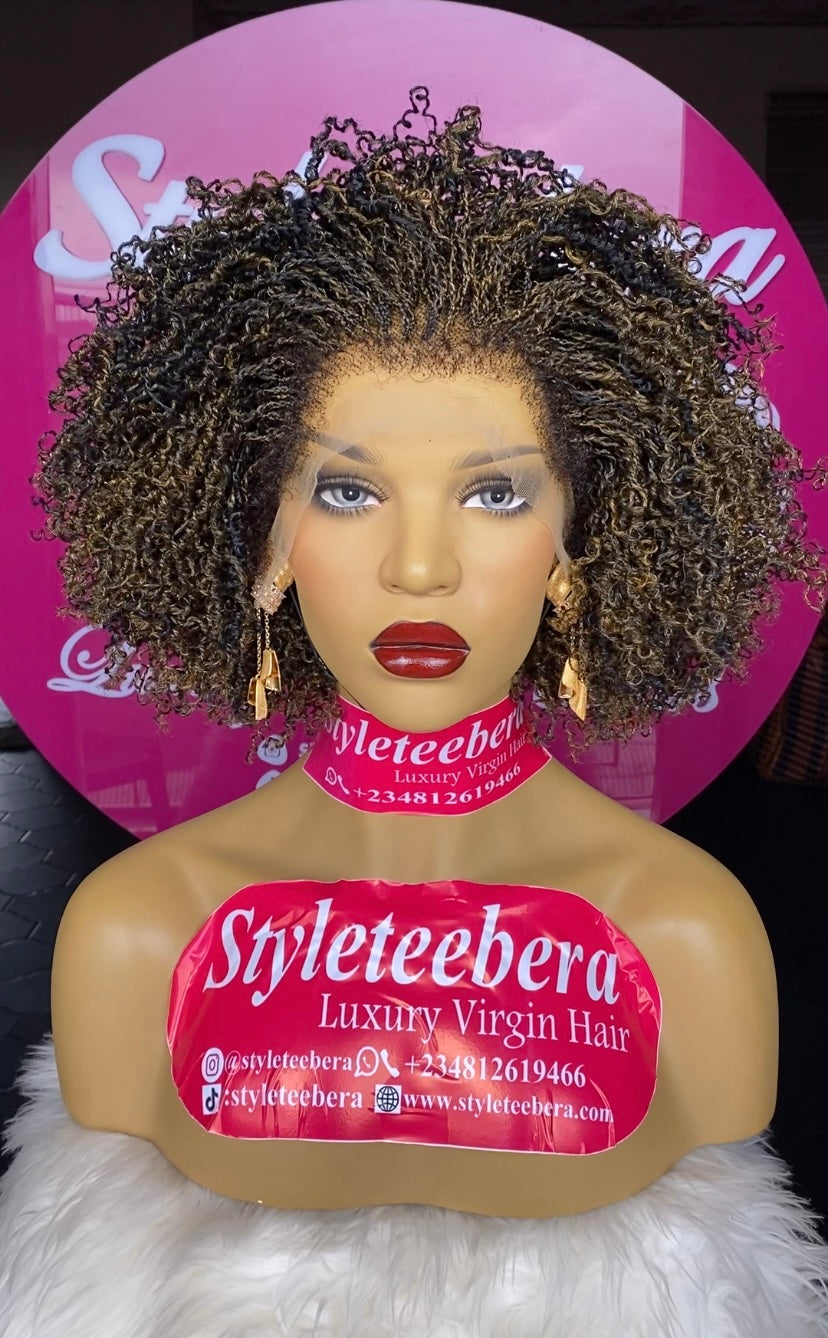 Nubian (Nano Twist) wig in mixed color 27/black