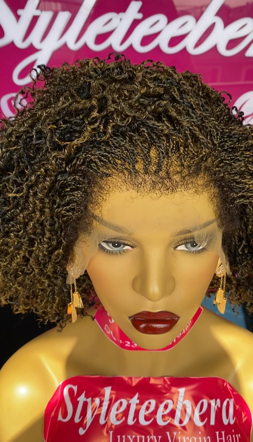 Nubian (Nano Twist) wig in mixed color 27/black