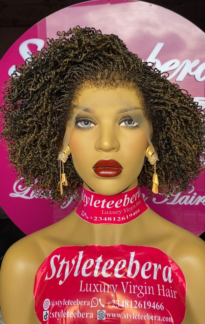 Nubian (Nano Twist) wig in mixed color 27/black