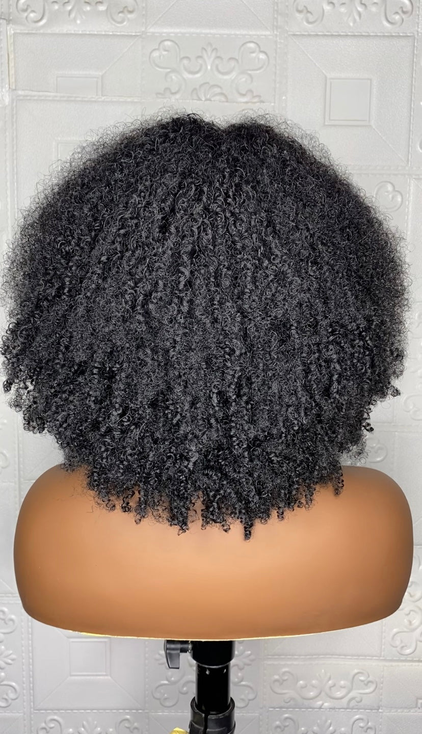 Tiny curly Afro(hybrid) wig